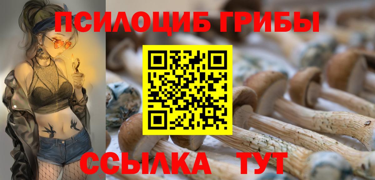 Псилоцибиновые грибы MAGIC MUSHROOMS Валуйки